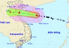 Thông báo lịch trực chủ động ứng phó với cơn bão số 7 năm 2020